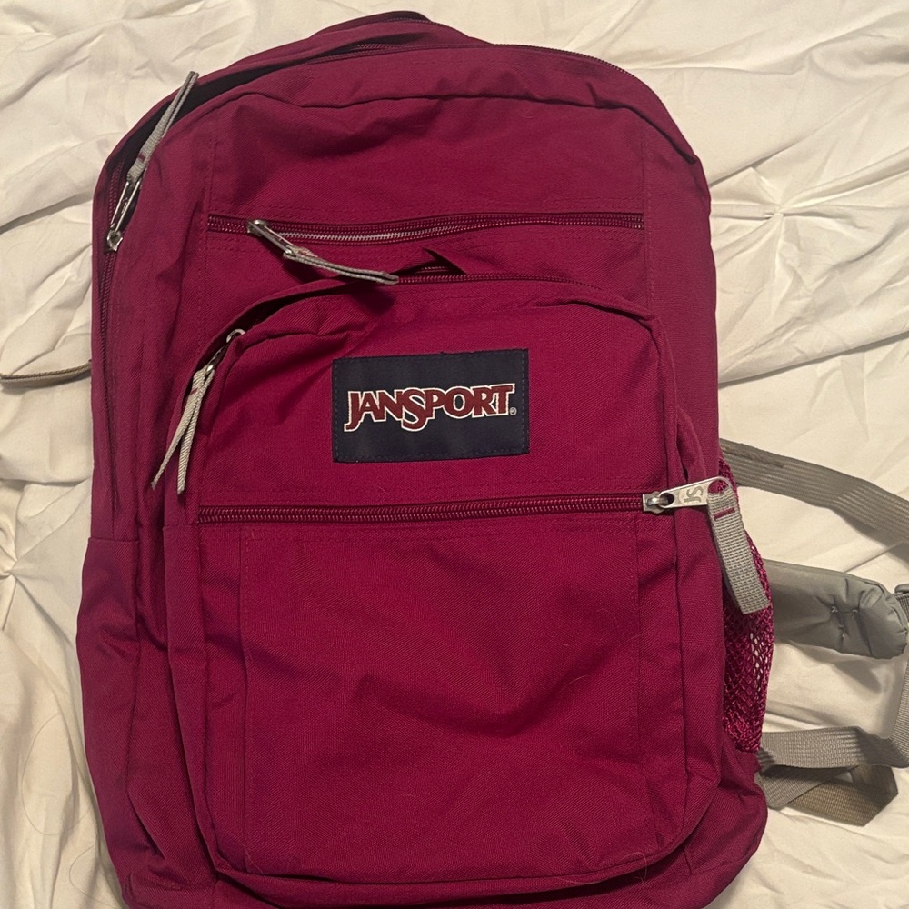JanSport Burgundy Backpack for Men